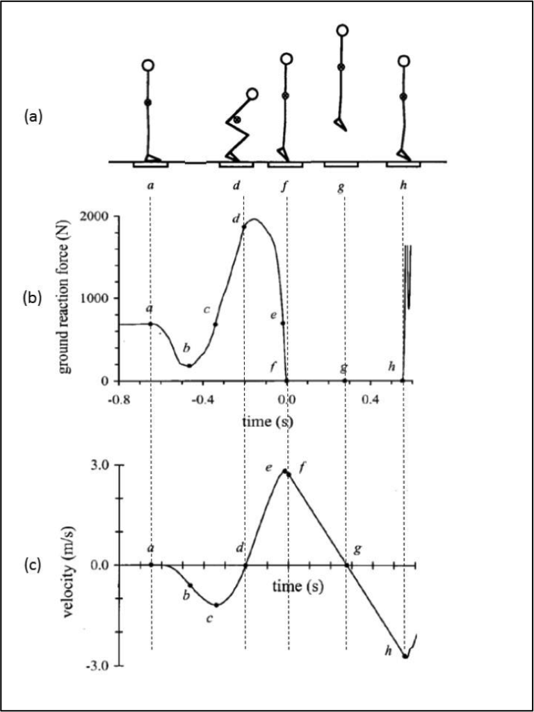 PDF) Relationship between jump height and rate of braking force