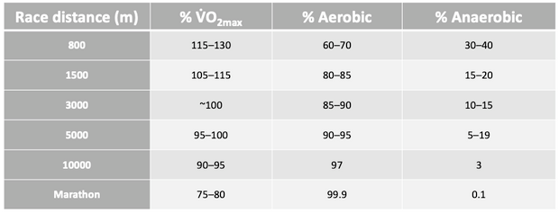 Aerobic vs. Anaerobic Training - Runners Connect