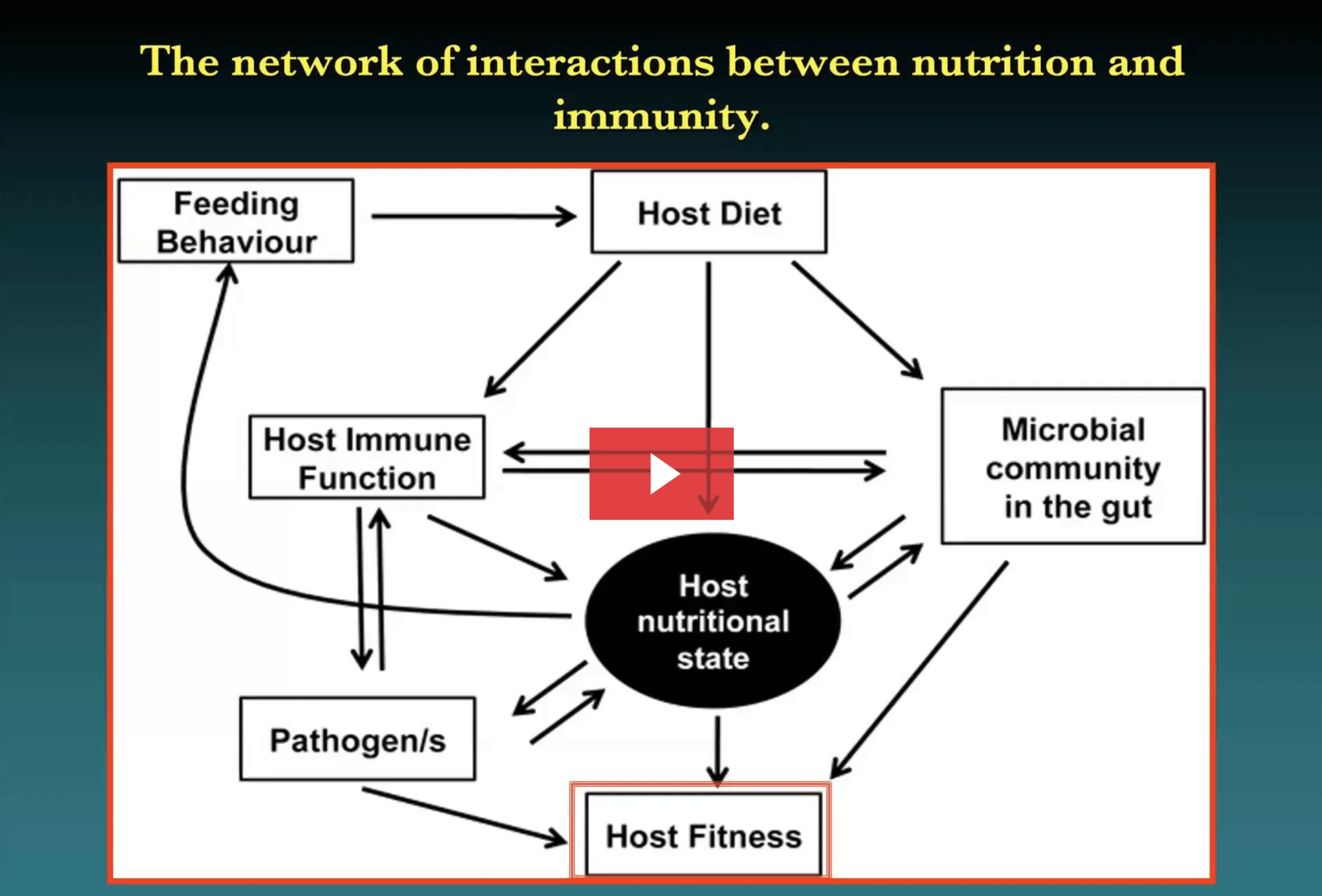 Dr. Robert Rountree - Nutrition & Immunology