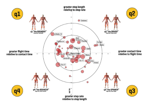 Whole body strategy sport