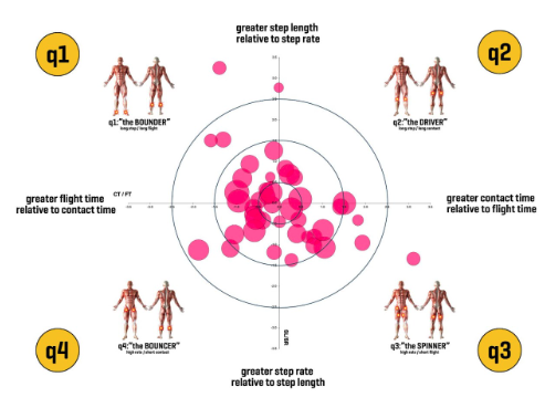 Whole body strategy sport