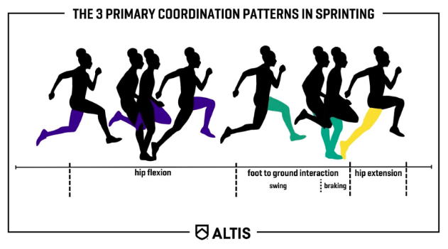 The Coach as a Systems Architect: 3 Primary Coordination patterns in sprinting.